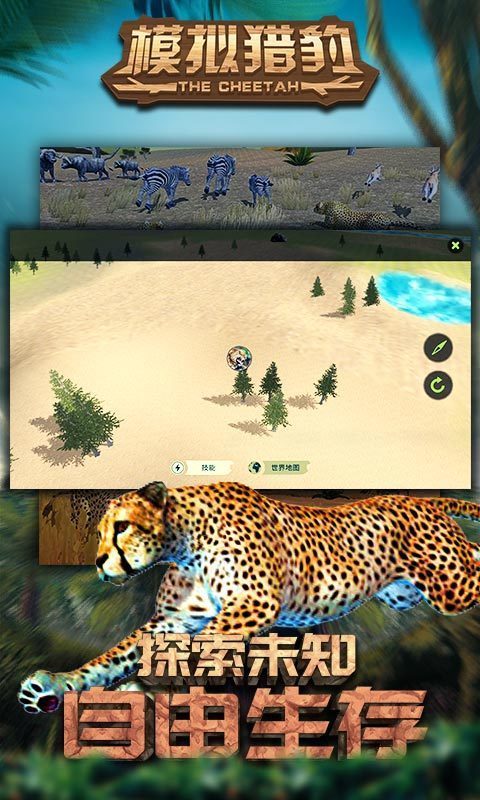 模拟猎豹图2