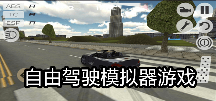 自由驾驶模拟器游戏