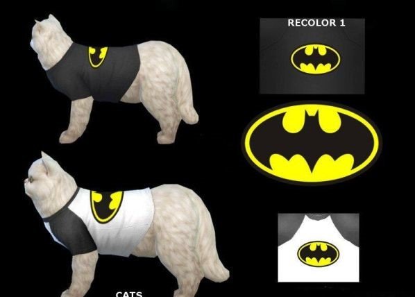模拟人生4蝙蝠侠猫咪服装MOD图1