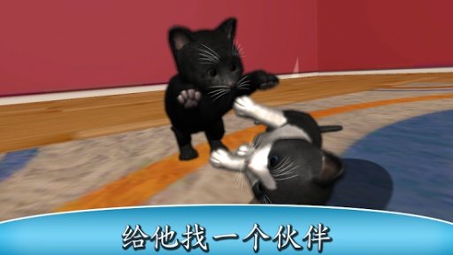 daily kitten游戏图1