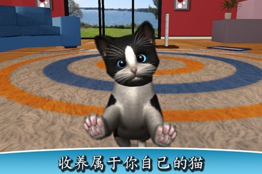 daily kitten游戏图4