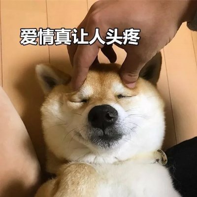 七夕单身狗表情包图3