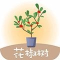 花椒树贷款app