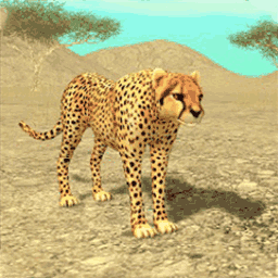 荒野猎豹模拟器中文版