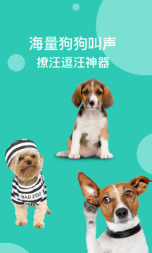 狗语翻译器中文版图1