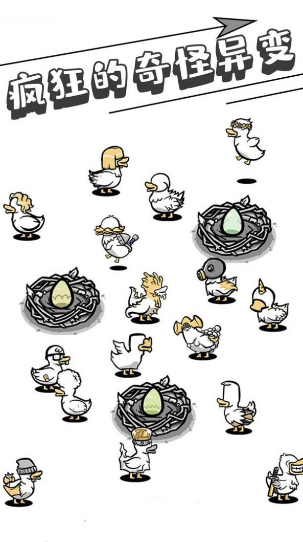 母鸡下蛋图1