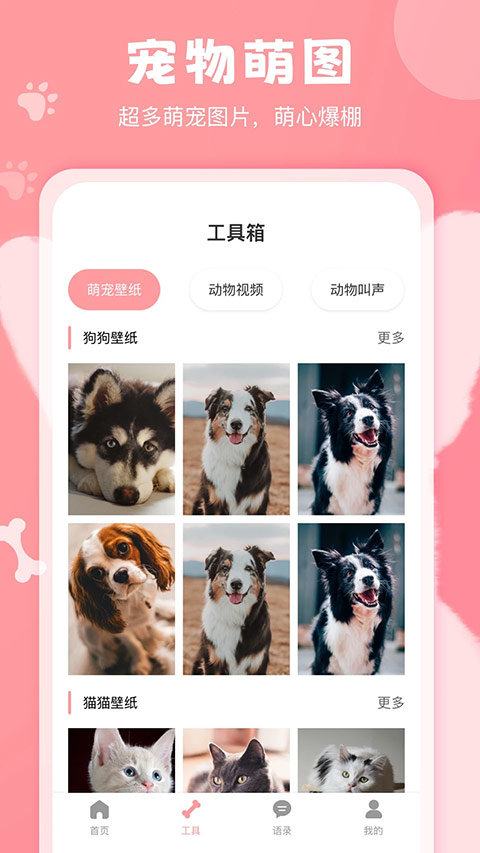 狗语翻译器免费版app图2